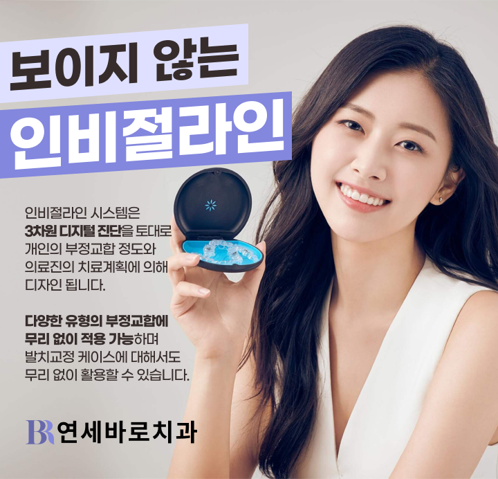 보이지 않는 인비절라인